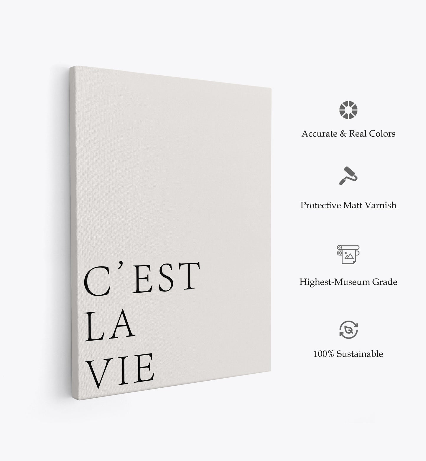 C'est La Vie, Motivational Poster