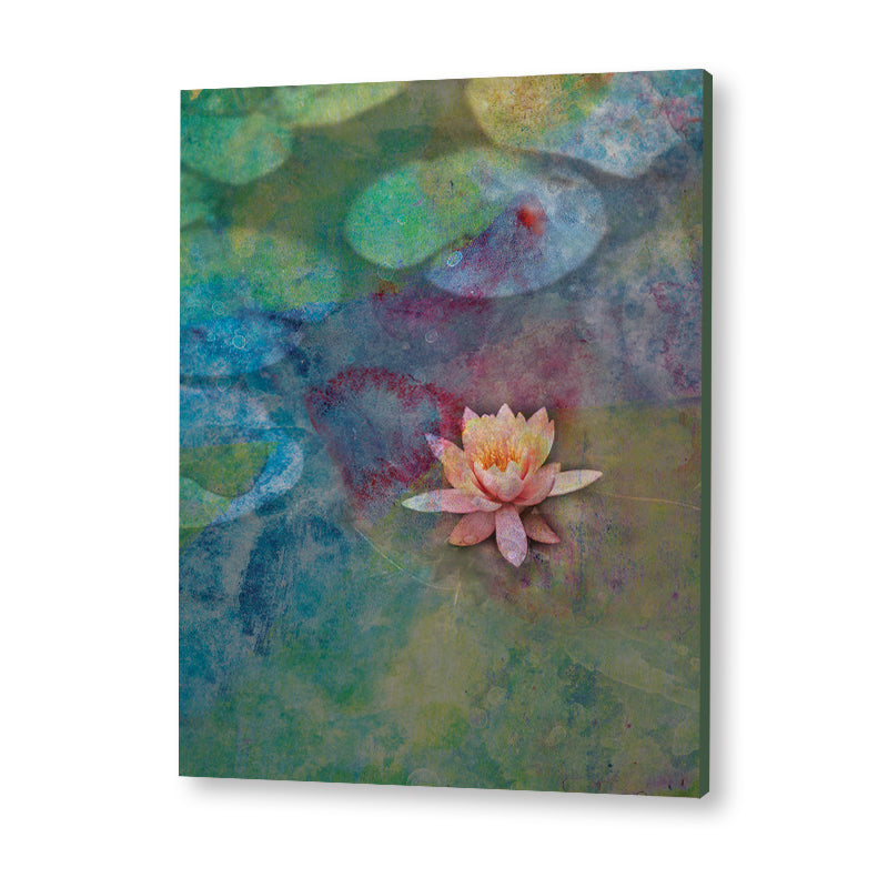 Lotus Pond