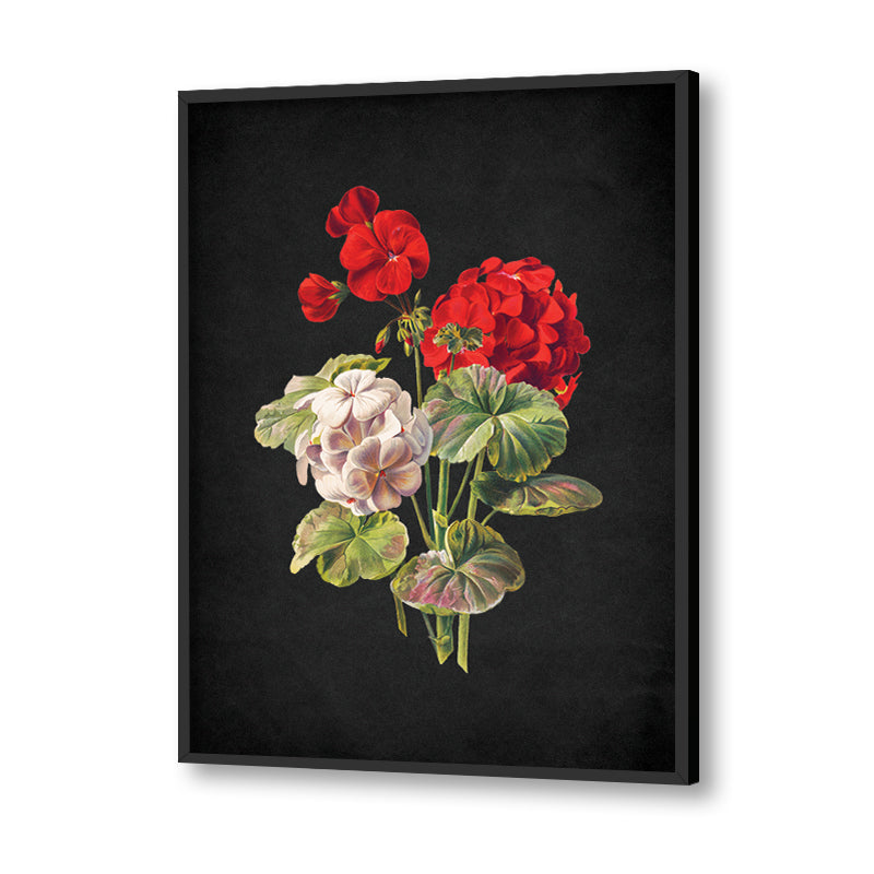 Noir Bloom 2