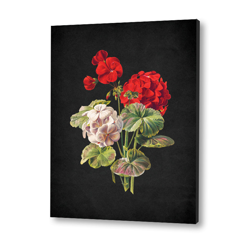 Noir Bloom 2