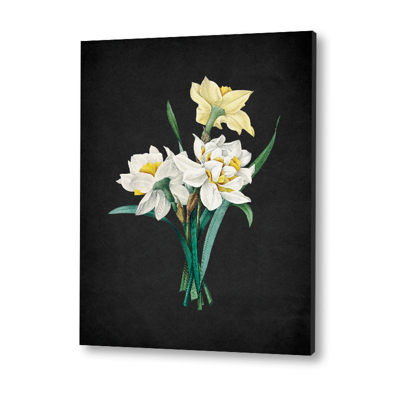 Noir Bloom 4
