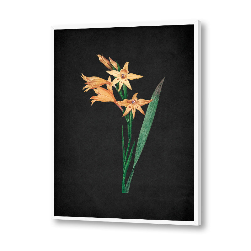 Noir Bloom 5