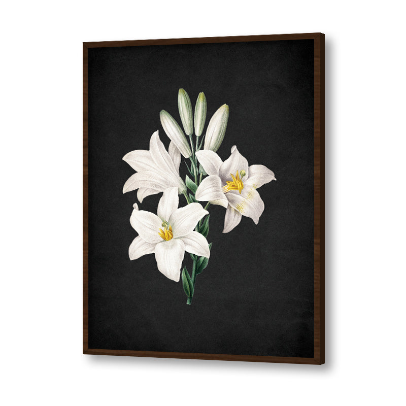 Noir Bloom 6