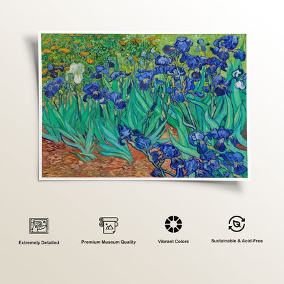 Irises, Van Gogh Painting
