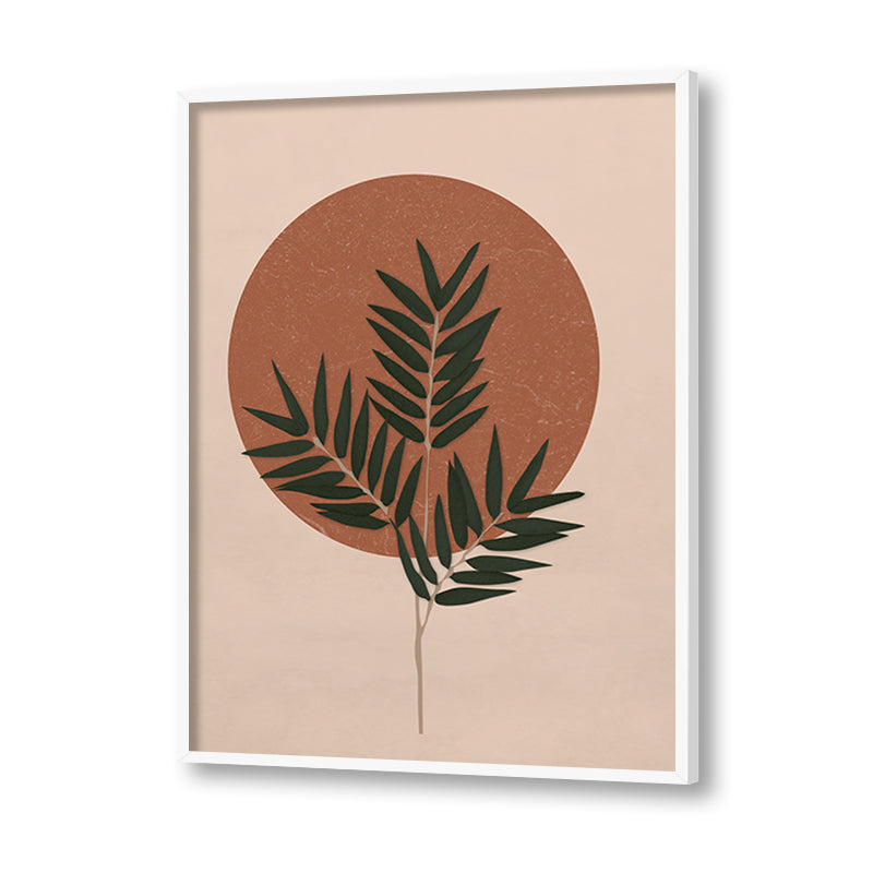 Fern & Sun