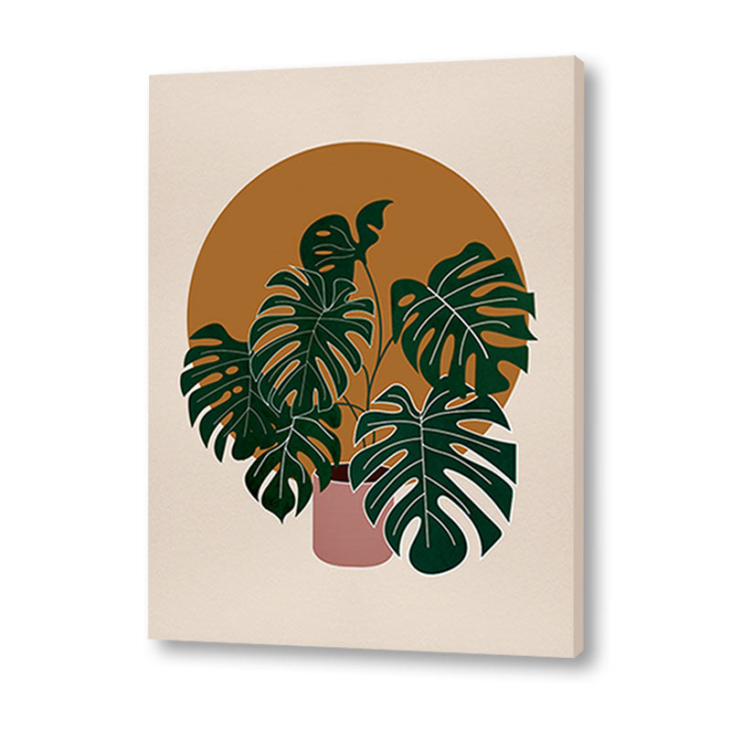 Tropical Paradise 2