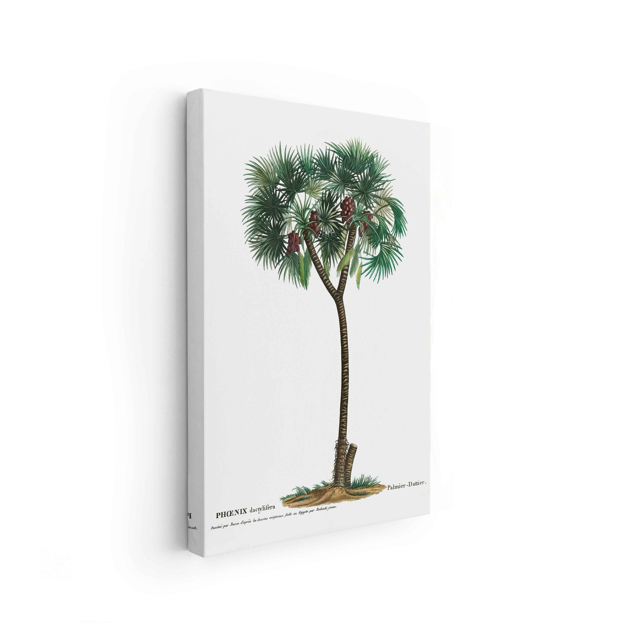 Botanicals