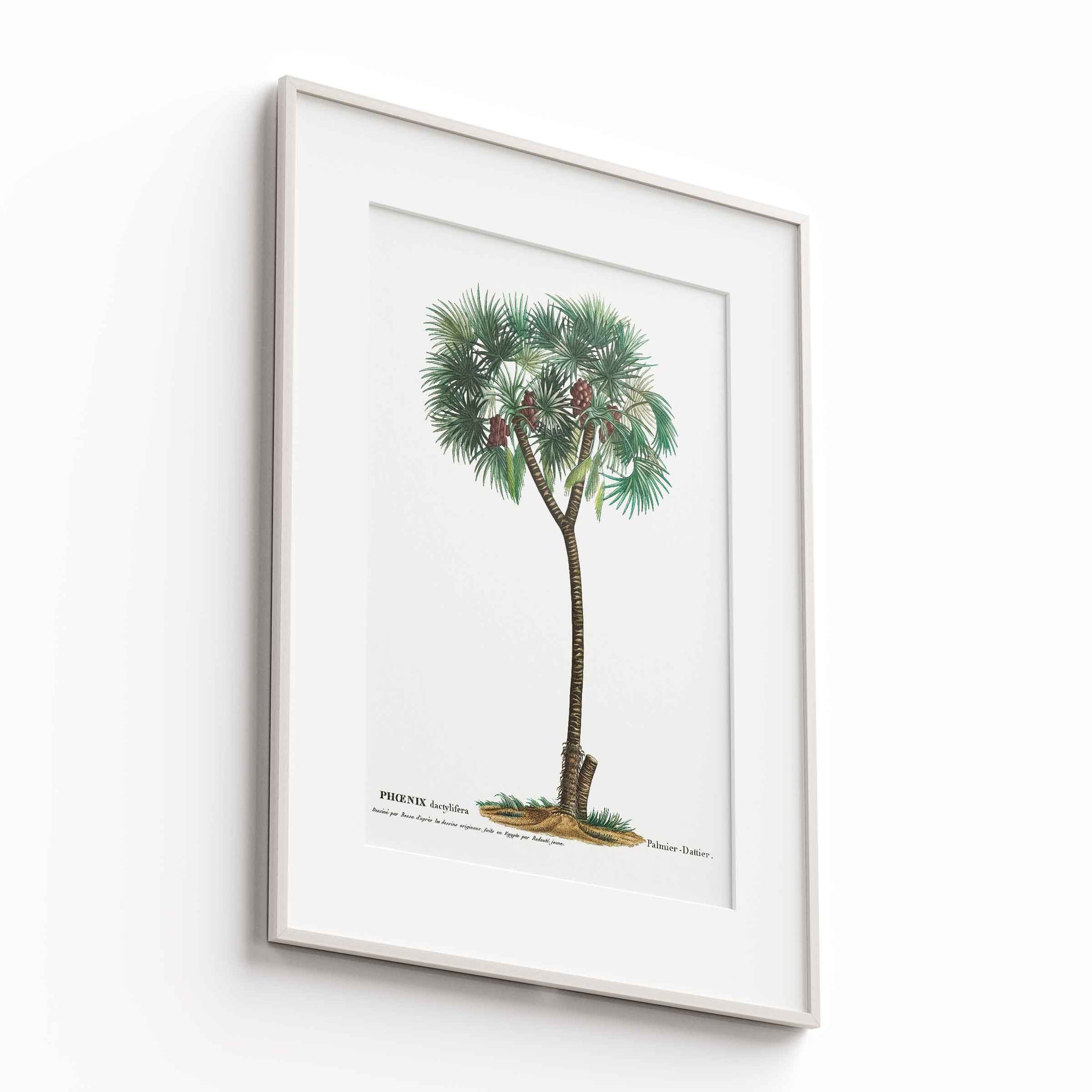 Botanicals