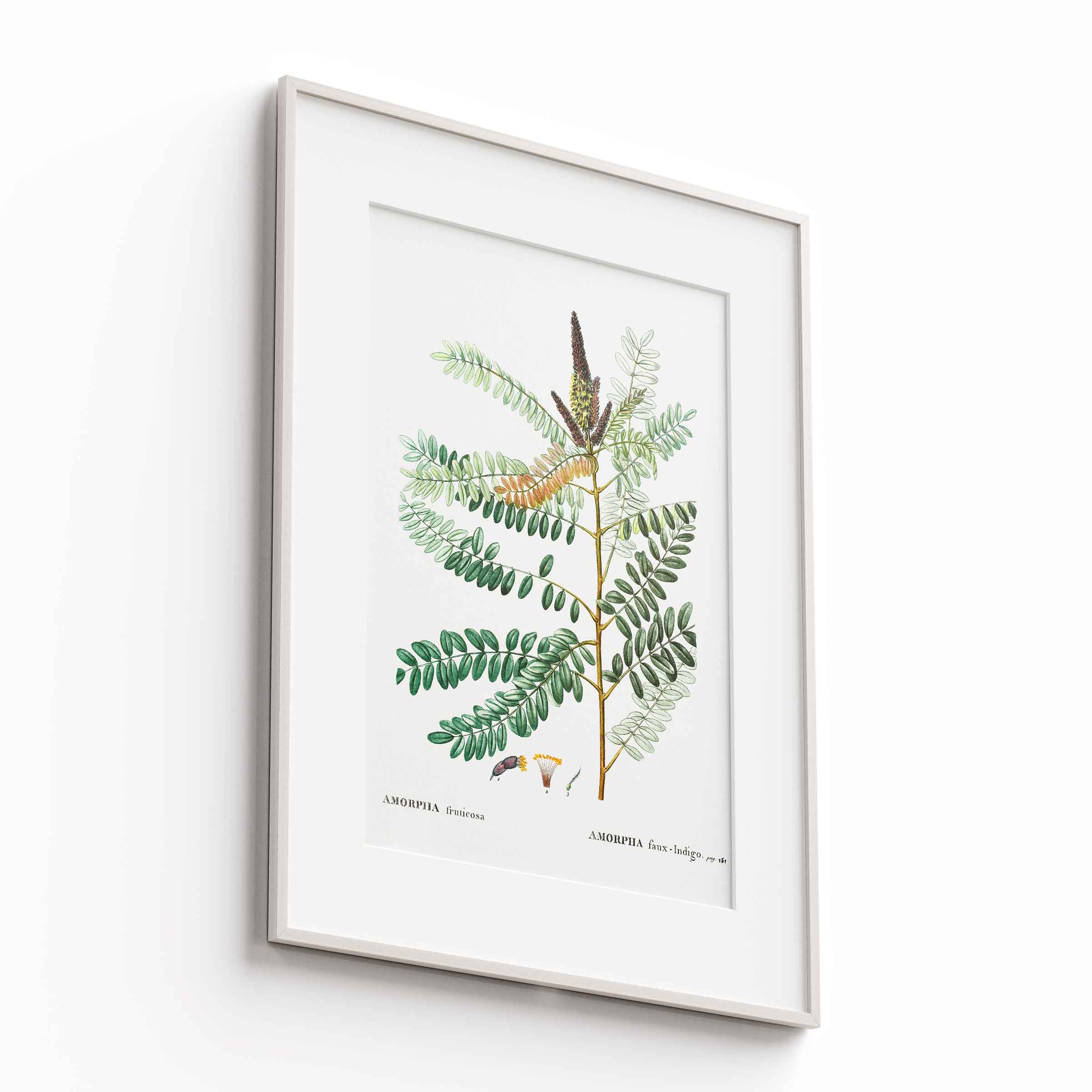 Botanicals