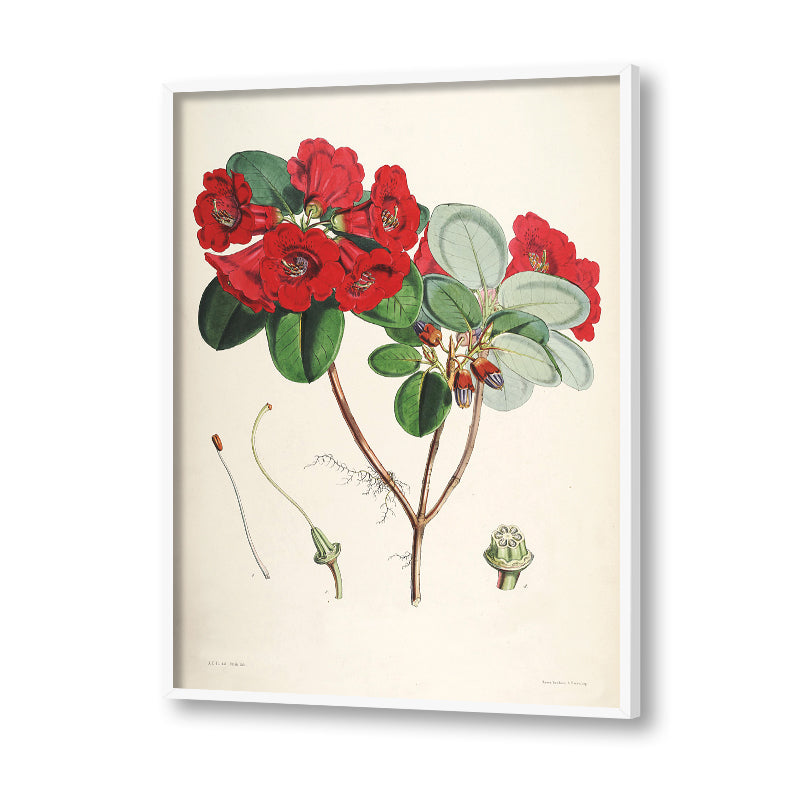 Botanical 10