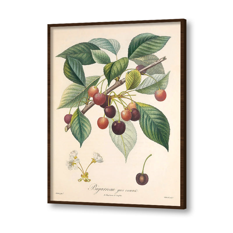Botanical 5
