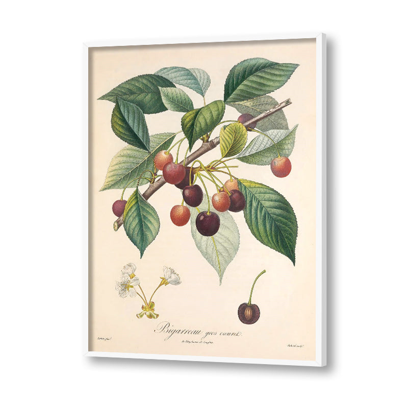 Botanical 5