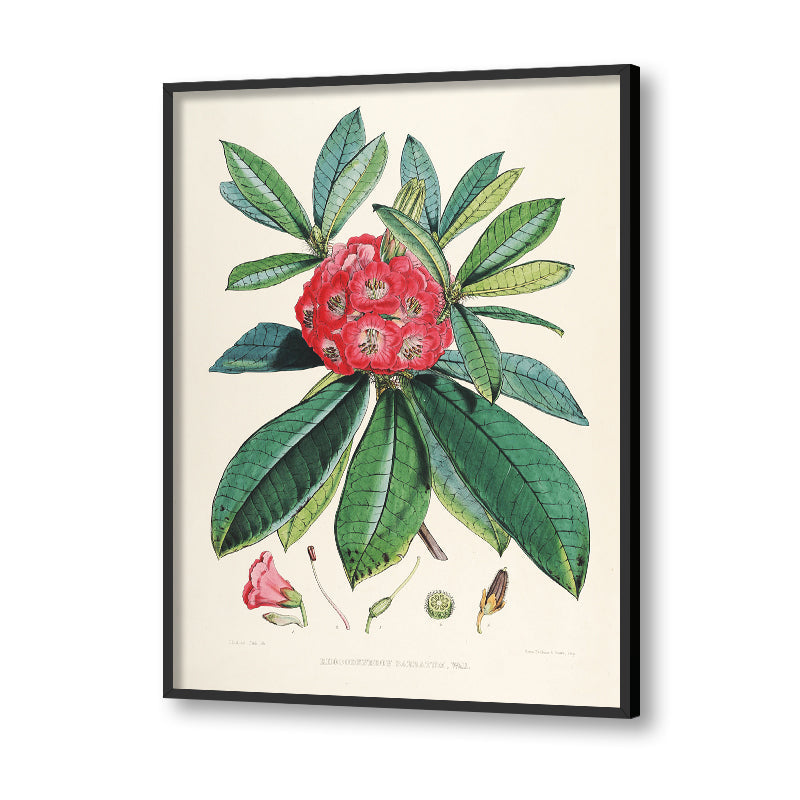 Botanical 8