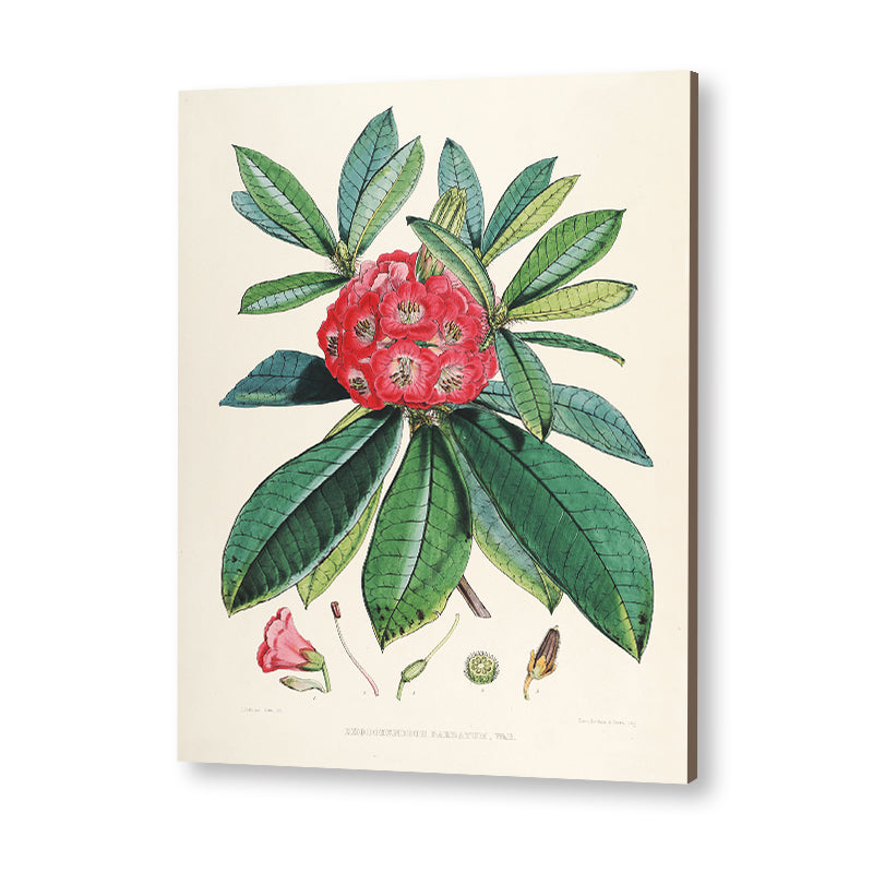 Botanical 8