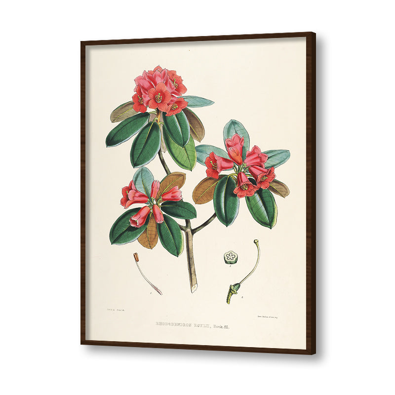 Botanical 9