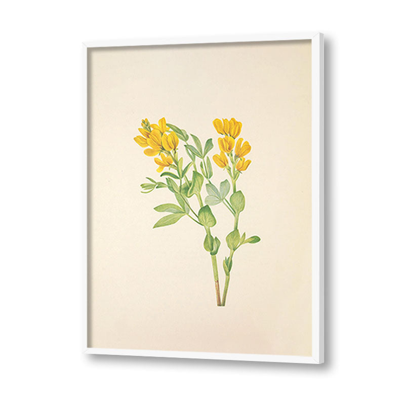 Minimal Botanical 2