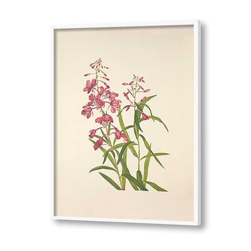 Minimal Botanical 4
