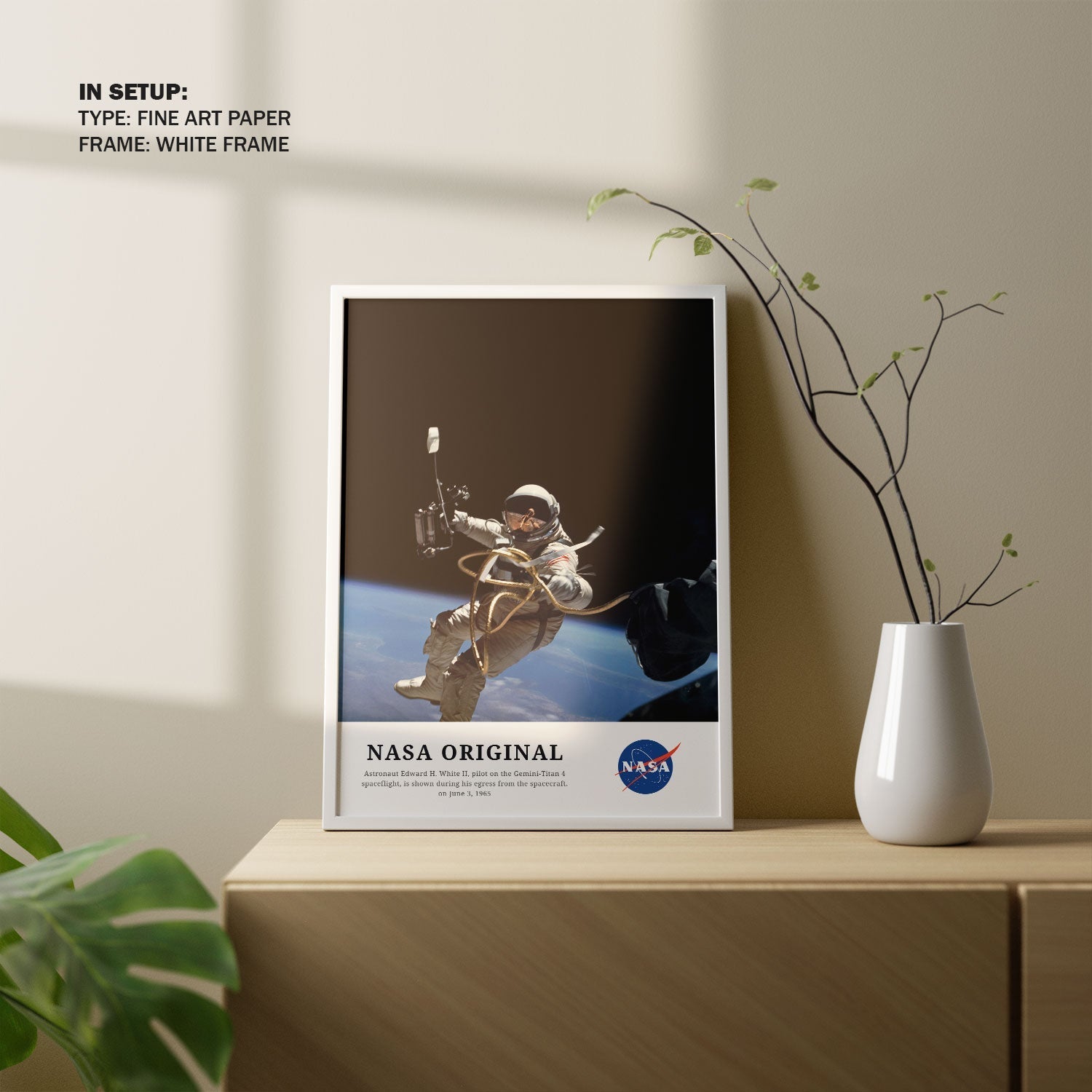 Astronaut on the Gemini-Titan 4, NASA Art Posters